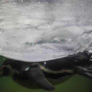 三姑六奶淫中秋视频大全免费观看
