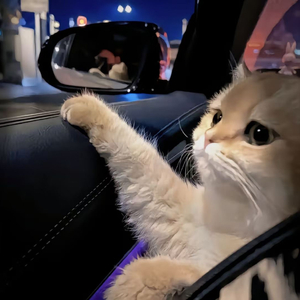 三姑六奶淫中秋视频大全免费观看
